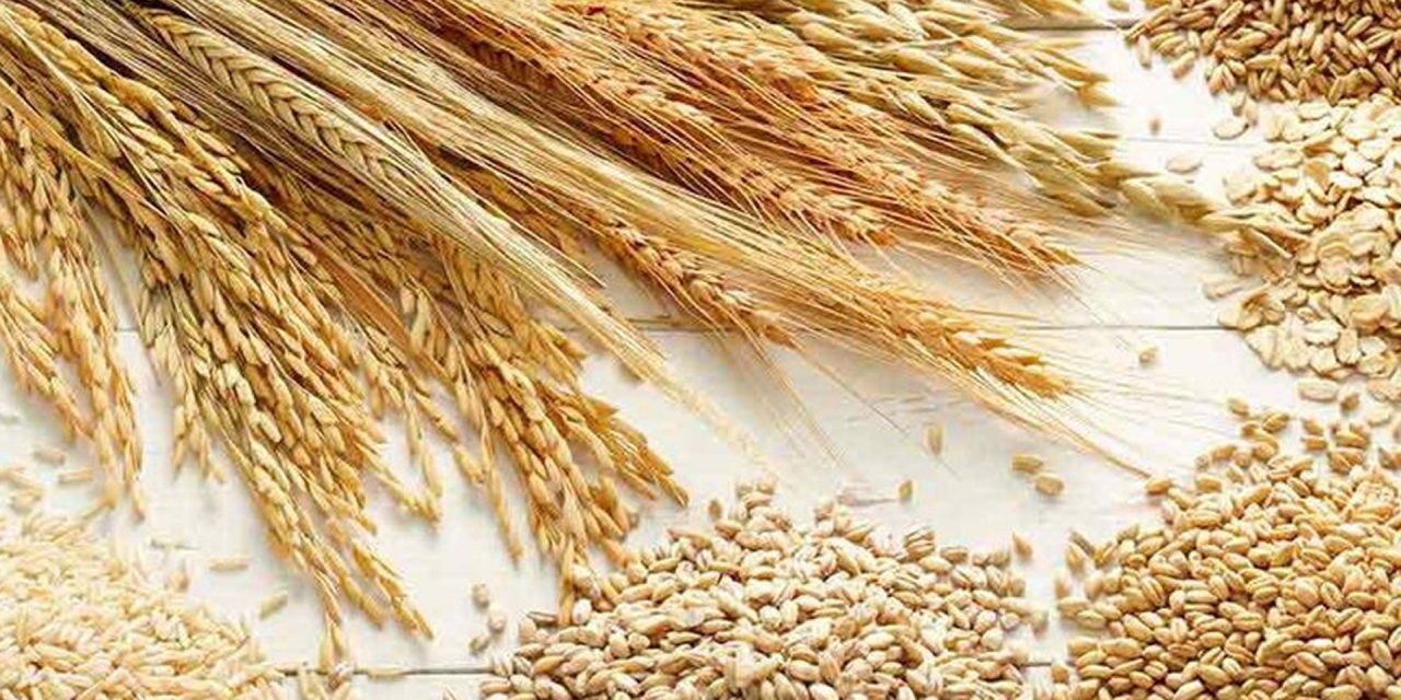 Healthy Super Whole Grains To Include In Your Diet